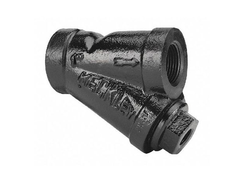 Cast iron Y strainer